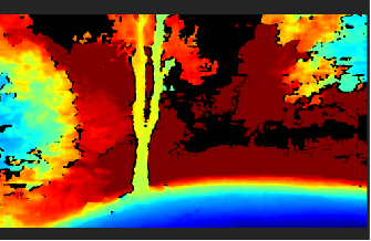 Outdoor - Tree - Depth